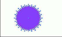 Photoshop  Illustrator
