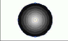 Photoshop  Illustrator

