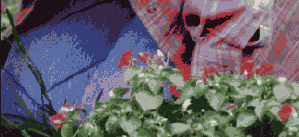 Photoshop  Illustrator
