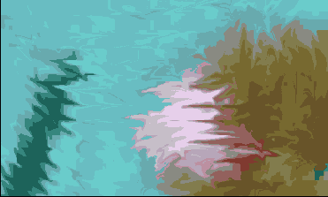 Photoshop  Illustrator
