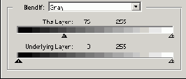 Photoshop  Illustrator
