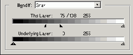 Photoshop  Illustrator
