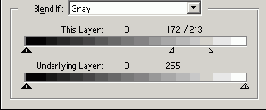 Photoshop  Illustrator
