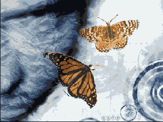 Photoshop  Illustrator
