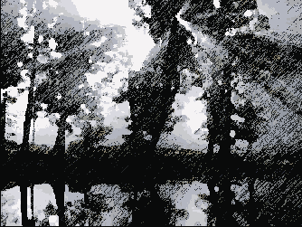 Photoshop  Illustrator
