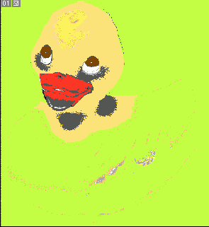 Photoshop  Illustrator
