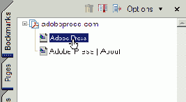  Adobe Acrobat
