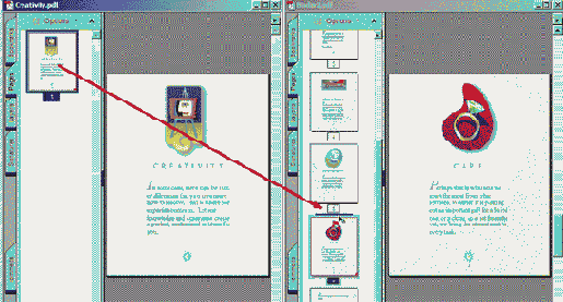  Adobe Acrobat
