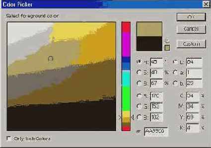      Photoshop