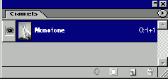  Duotone