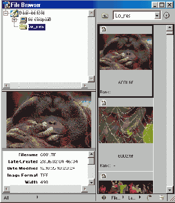     Photoshop
