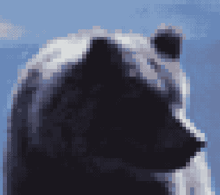       Navigator
