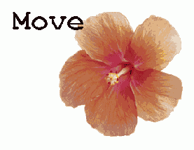       Move
