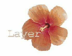   Lock transparent pixels   