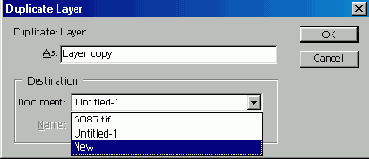   Duplicate Layer
