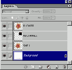   SHELL  ,  FLOWER  RECTANGLE 