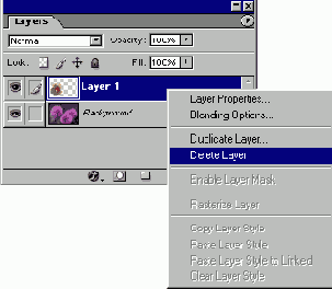   Layer 1    