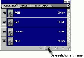 Save selection as channel   Channels