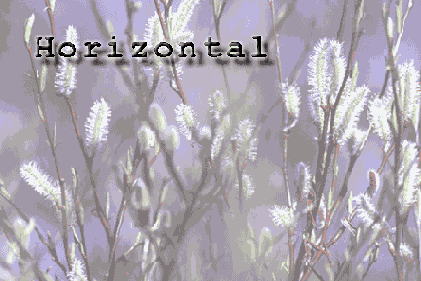      Horizontal