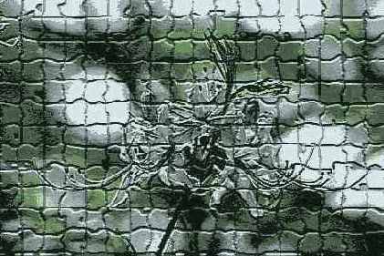 Mosaic Tiles ( )
