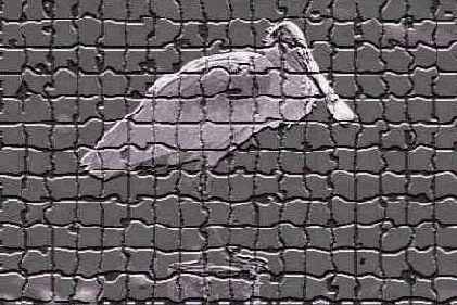    Mosaic Tiles