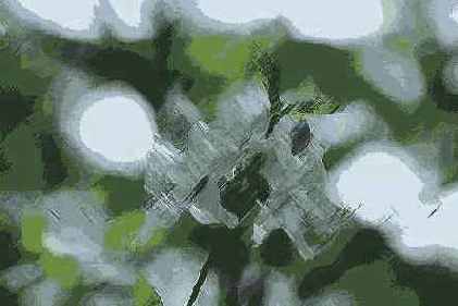 Angled Strokes ( )