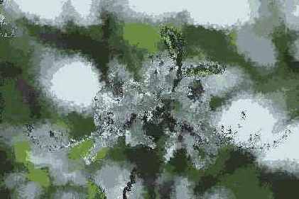 Spatter ()