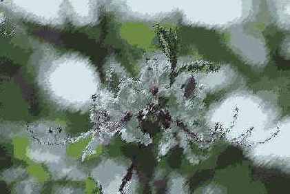 Sprayed Strokes ()