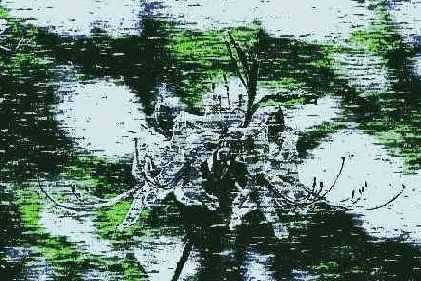 Mezzotint (-),  Short Strokes ( )