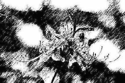 Graphic Pen ()