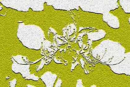 Note Paper ( )