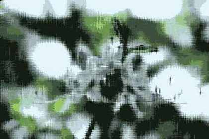 Water Paper ( )