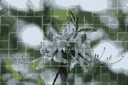    Tiles (),   Fade () ...
