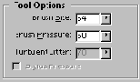  Tool Options   Liquify