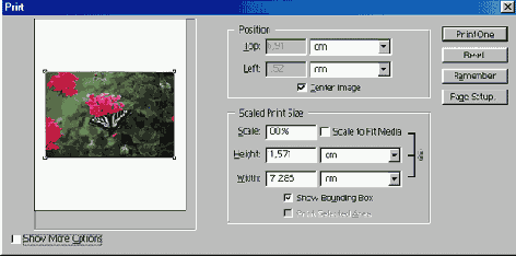  Print with Preview