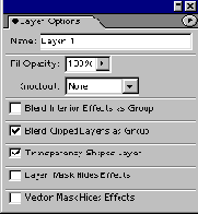   Layer Options